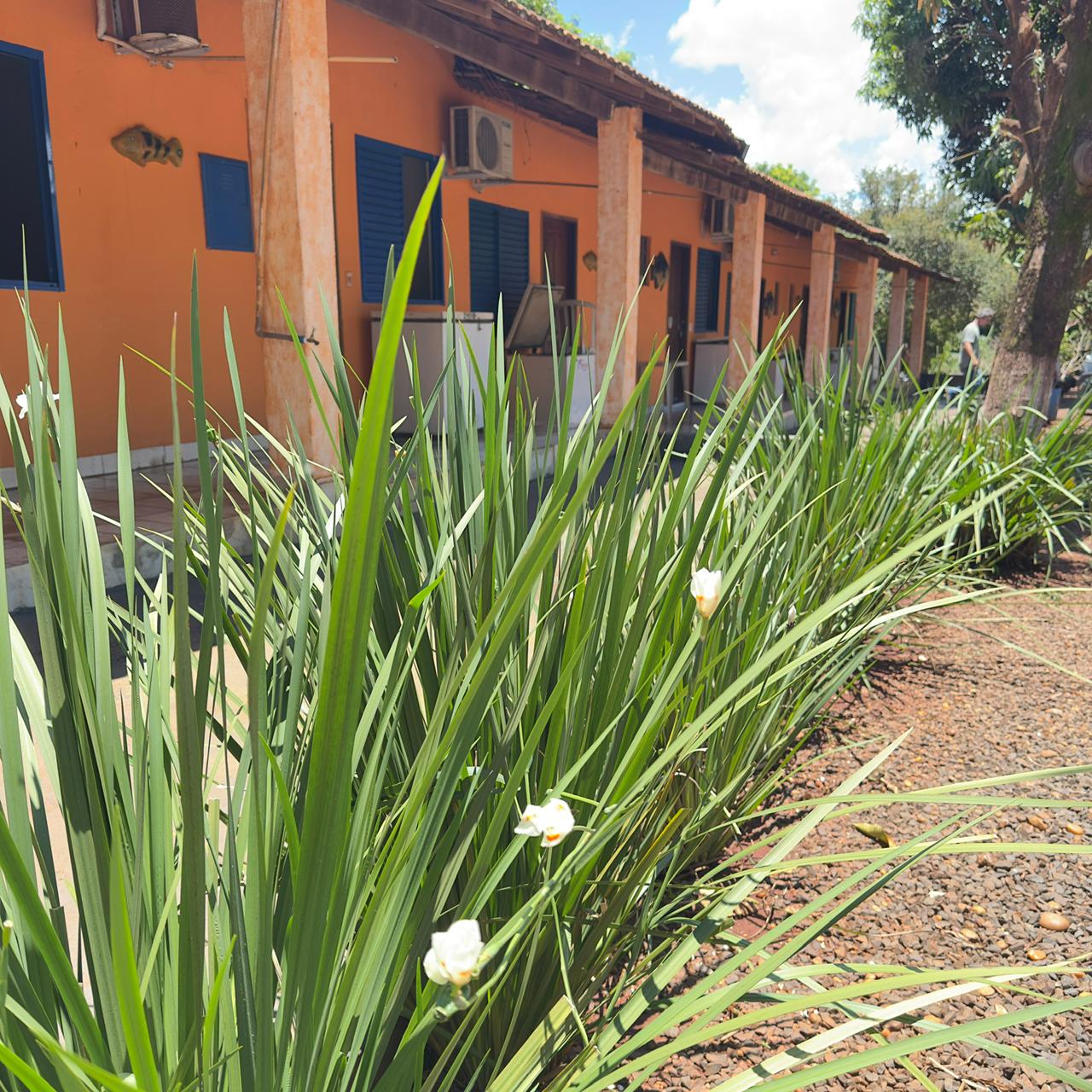 Quartos Pousada Nakamura